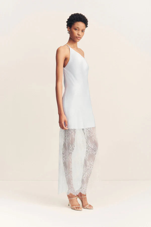 SHONA JOY - Labyrinth Lace Cowl Maxi Dress in Pale Blue