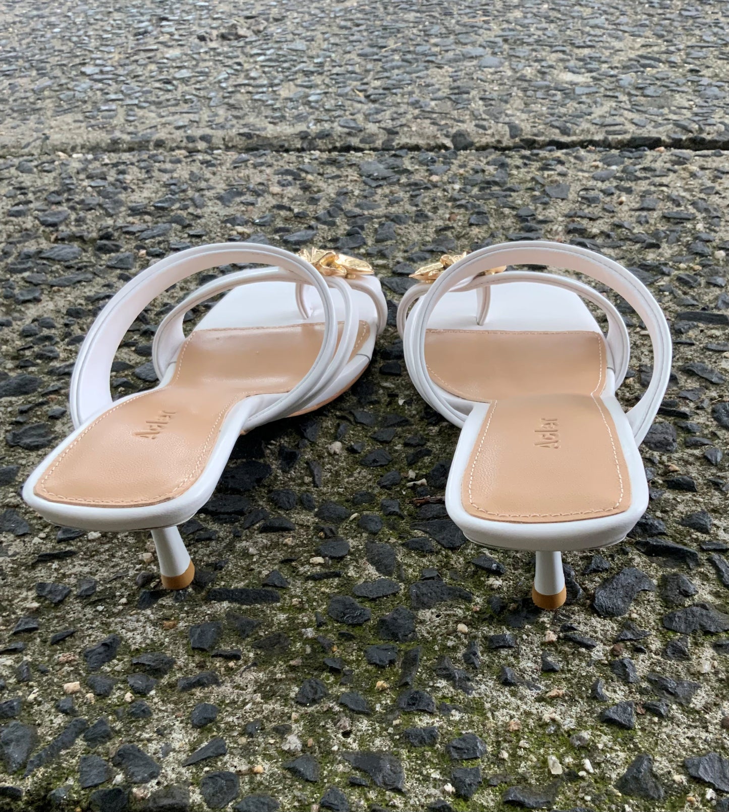 ACLER - Martin Heels in Ivory