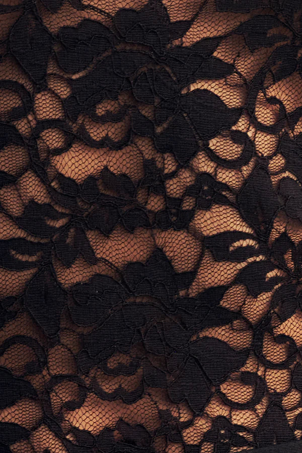 SHONA JOY - Wallis Lace Top in Black