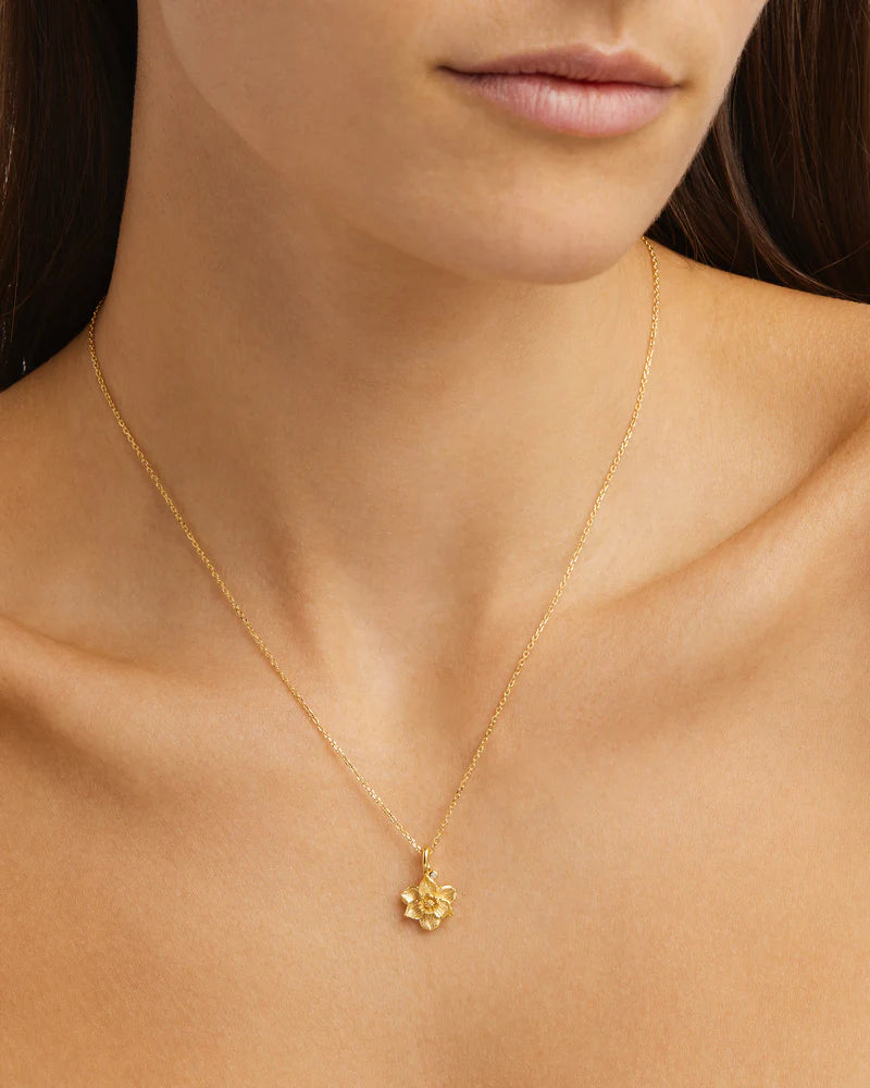 BY CHARLOTTE 18K Gold Vermeil Narcissus (December) Birthstone necklace-gold