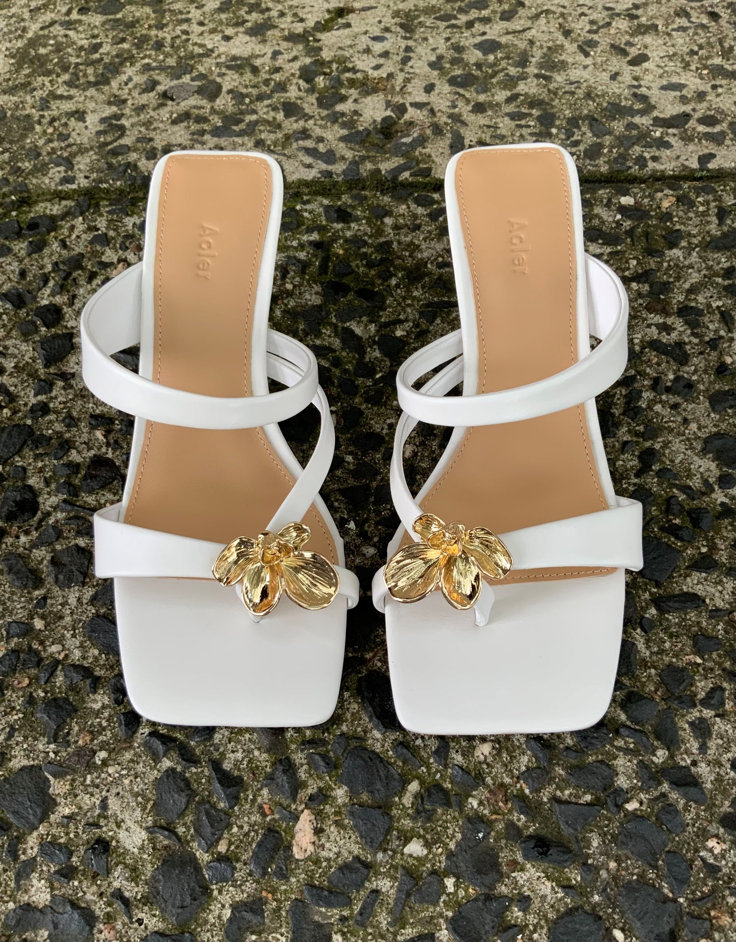 ACLER - Martin Heels in Ivory