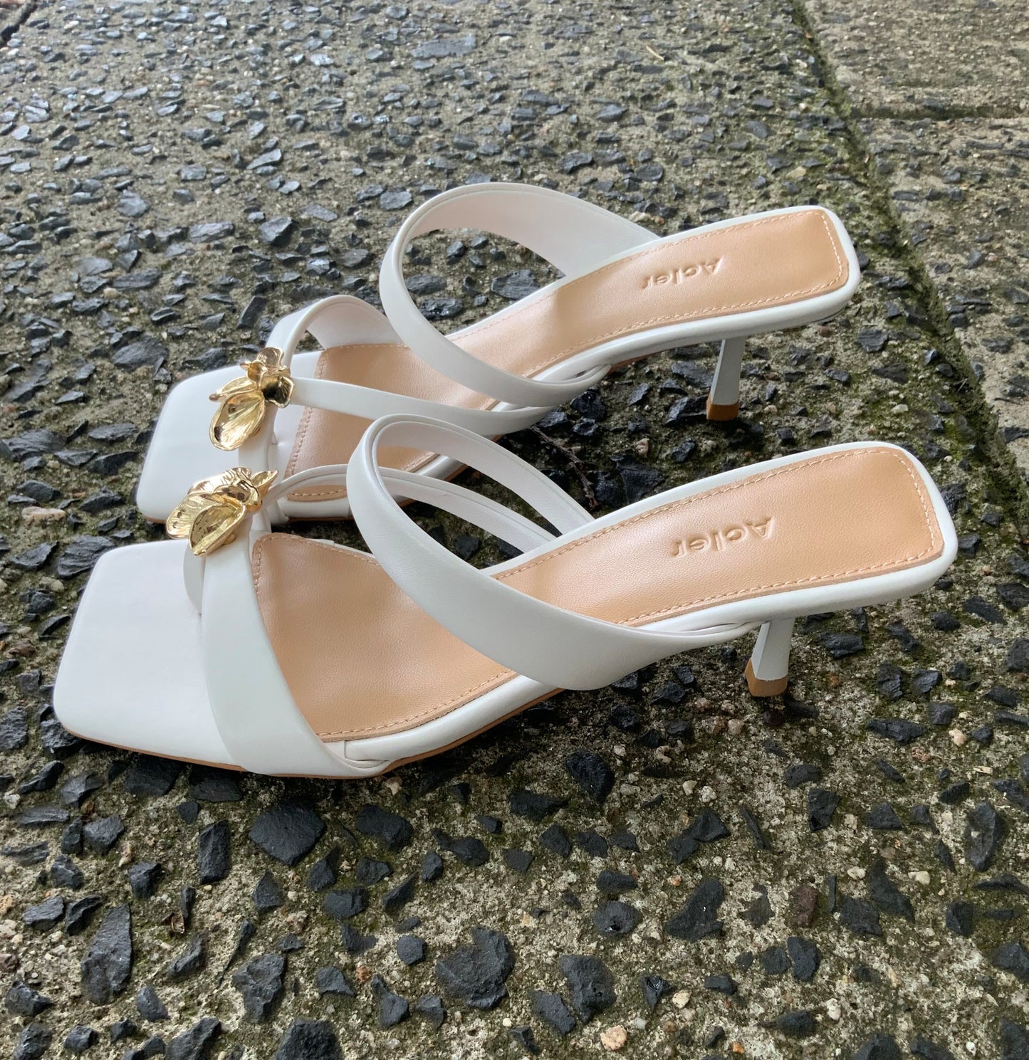 ACLER - Martin Heels in Ivory