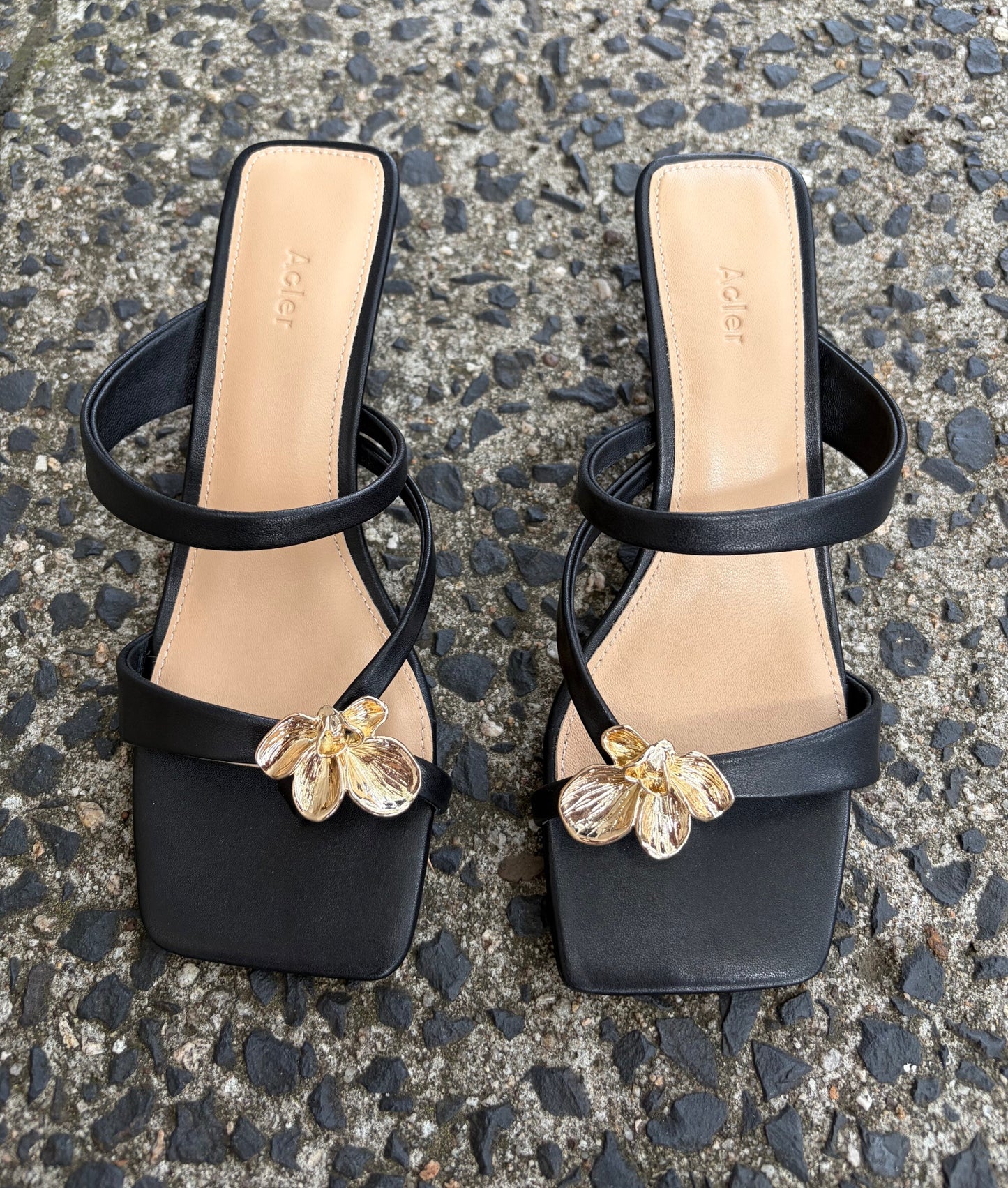 ACLER - Marin Heels in Black