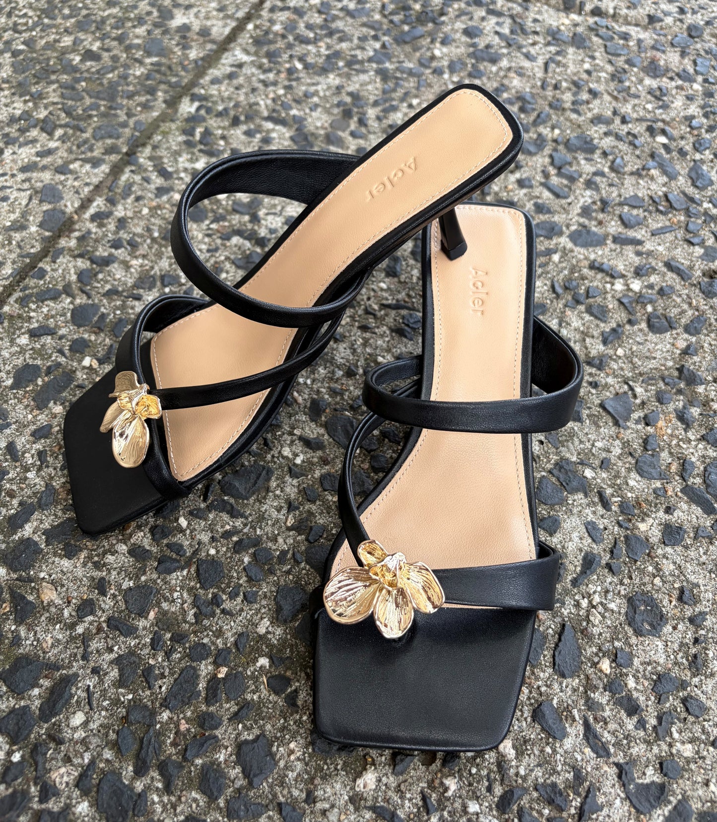 ACLER - Marin Heels in Black