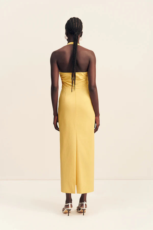SHONA JOY - Campbell Draped Halter Maxi Dress in Soleil Sol