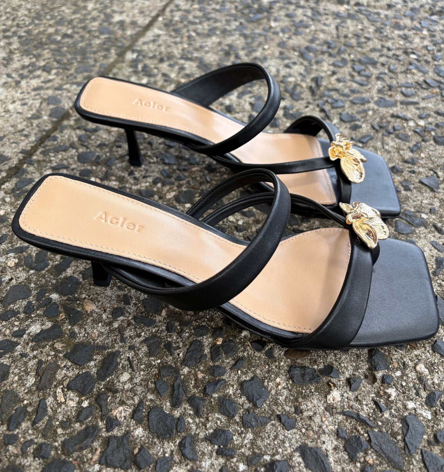ACLER - Marin Heels in Black